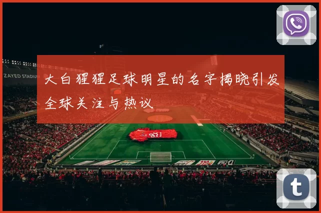 大白猩猩足球明星的名字揭晓引发全球关注与热议