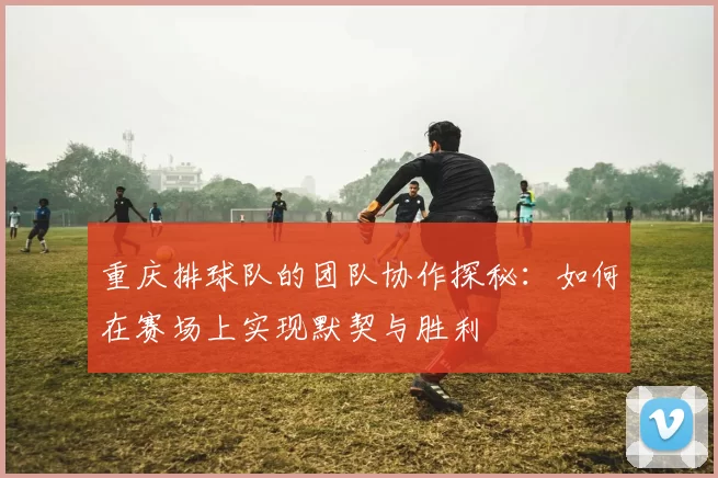 重庆排球队的团队协作探秘：如何在赛场上实现默契与胜利