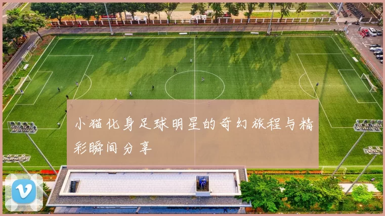 小猫化身足球明星的奇幻旅程与精彩瞬间分享