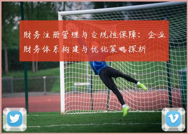 财务注册管理与合规性保障：企业财务体系构建与优化策略探析