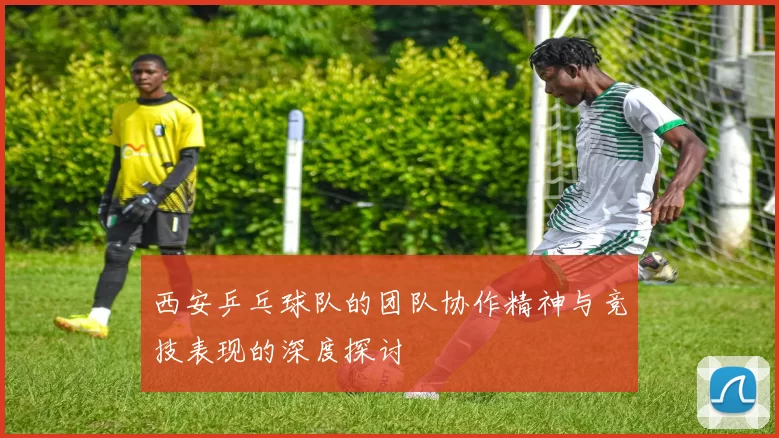 西安乒乓球队的团队协作精神与竞技表现的深度探讨