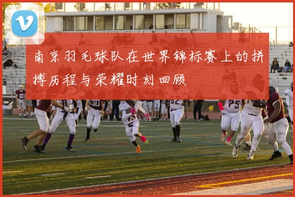 南京羽毛球队在世界锦标赛上的拼搏历程与荣耀时刻回顾