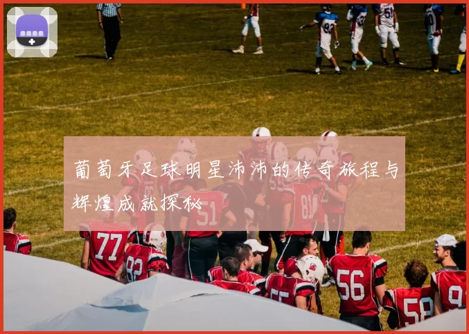 葡萄牙足球明星沛沛的传奇旅程与辉煌成就探秘