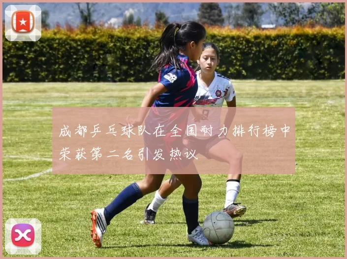成都乒乓球队在全国耐力排行榜中荣获第二名引发热议