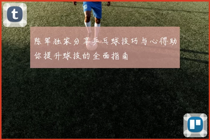 陈军独家分享乒乓球技巧与心得助你提升球技的全面指南