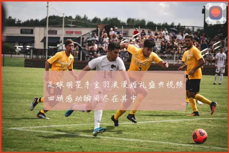 足球明星李金羽浪漫婚礼盛典视频回顾感动瞬间尽在其中