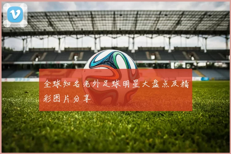 全球知名老外足球明星大盘点及精彩图片分享