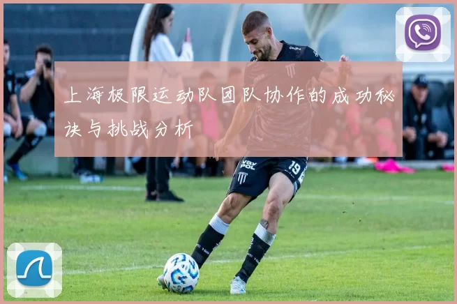 上海极限运动队团队协作的成功秘诀与挑战分析
