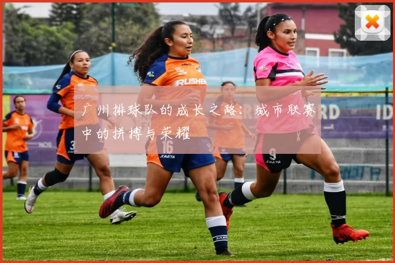 广州排球队的成长之路：城市联赛中的拼搏与荣耀