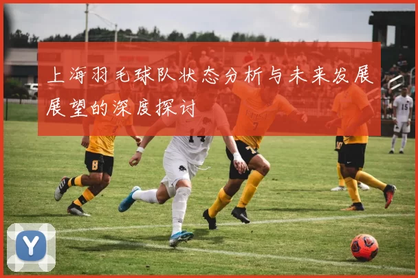 上海羽毛球队状态分析与未来发展展望的深度探讨
