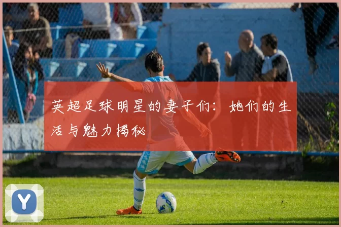 英超足球明星的妻子们：她们的生活与魅力揭秘