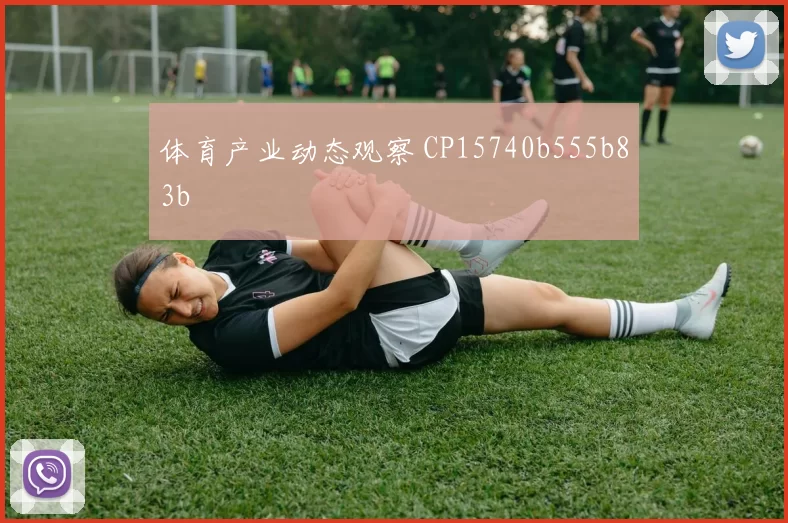 体育产业动态观察 CP15740b555b83b
