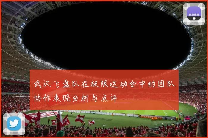 武汉飞盘队在极限运动会中的团队协作表现分析与点评