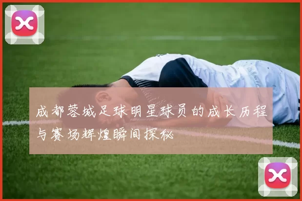 成都蓉城足球明星球员的成长历程与赛场辉煌瞬间探秘