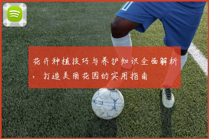 花卉种植技巧与养护知识全面解析，打造美丽花园的实用指南