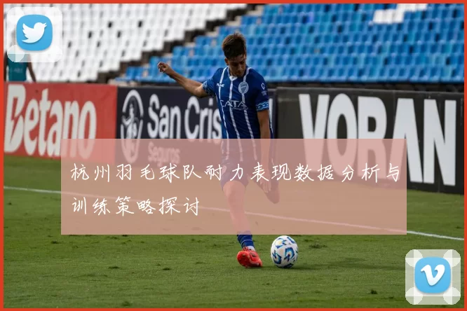 杭州羽毛球队耐力表现数据分析与训练策略探讨